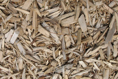 biomass boilers Derwenlas
