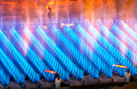 Derwenlas gas fired boilers